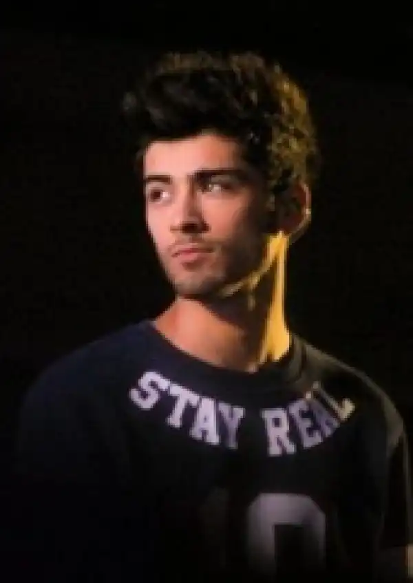 Instrumental: ZAYN - SHE DON